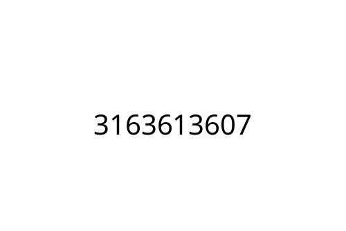 3163613607