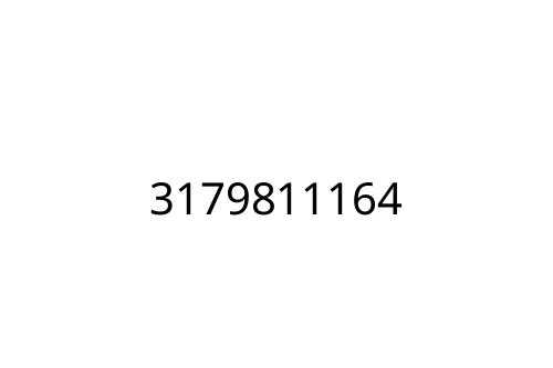 3179811164
