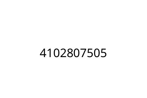 4102807505