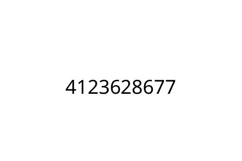 4123628677