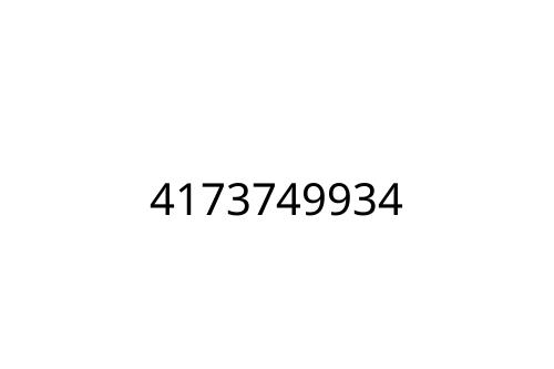 4173749934