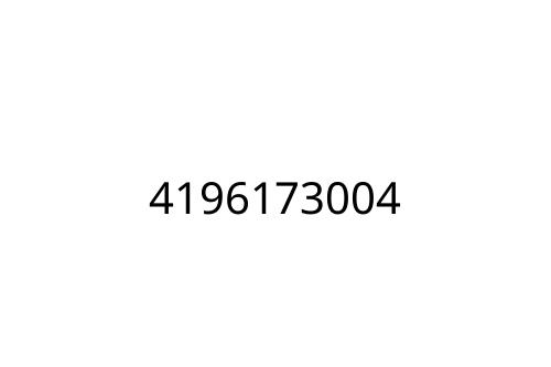 4196173004
