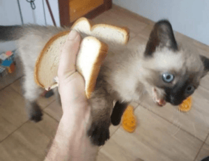 has lake yiganlawi ever dried up