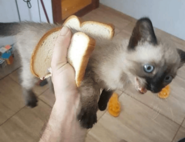 has lake yiganlawi ever dried up