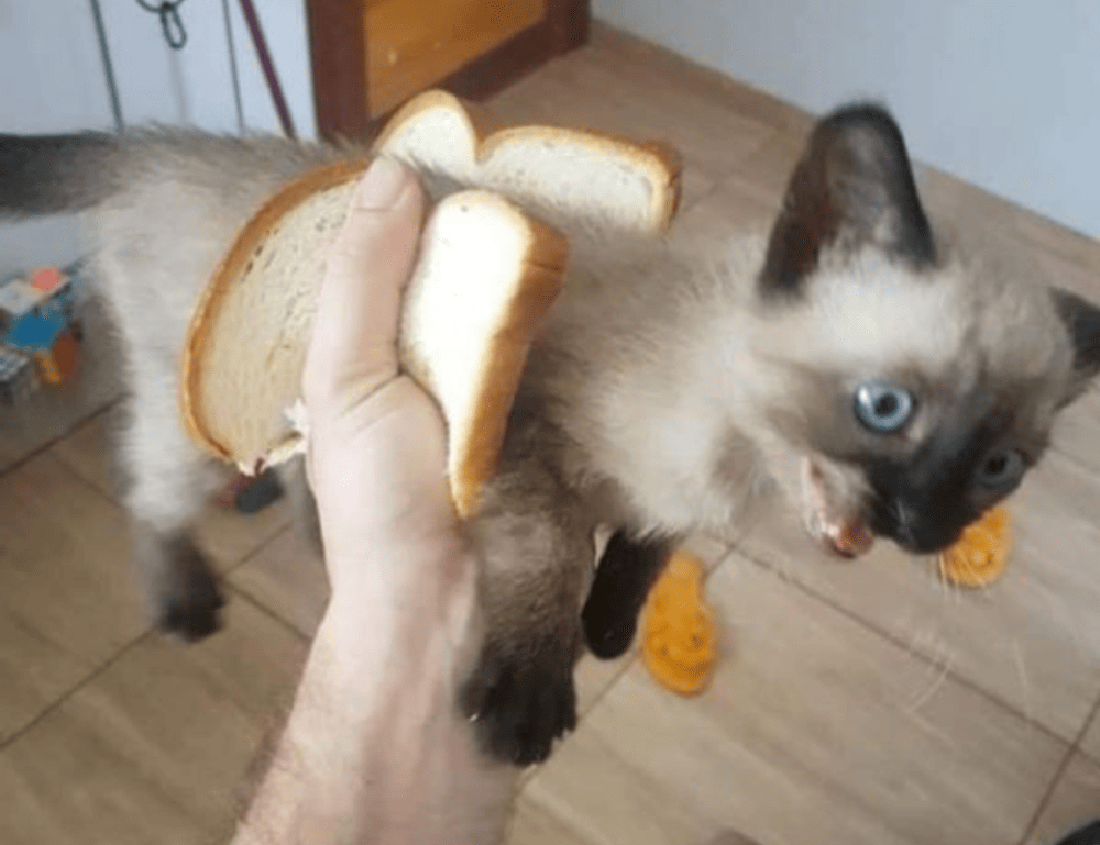 has lake yiganlawi ever dried up