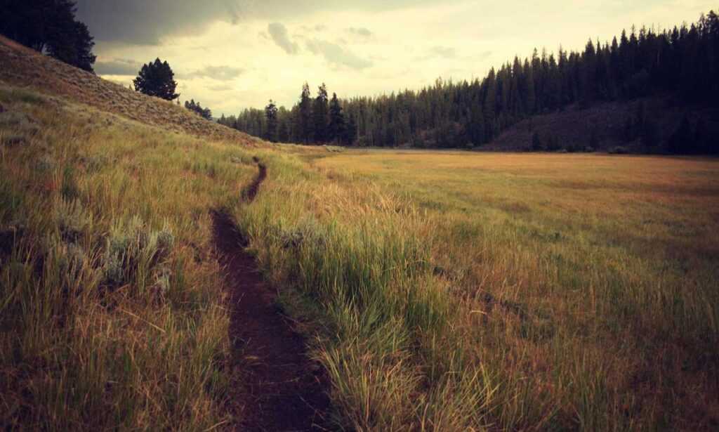 cuanto es 2000 soles en pesos chilenos