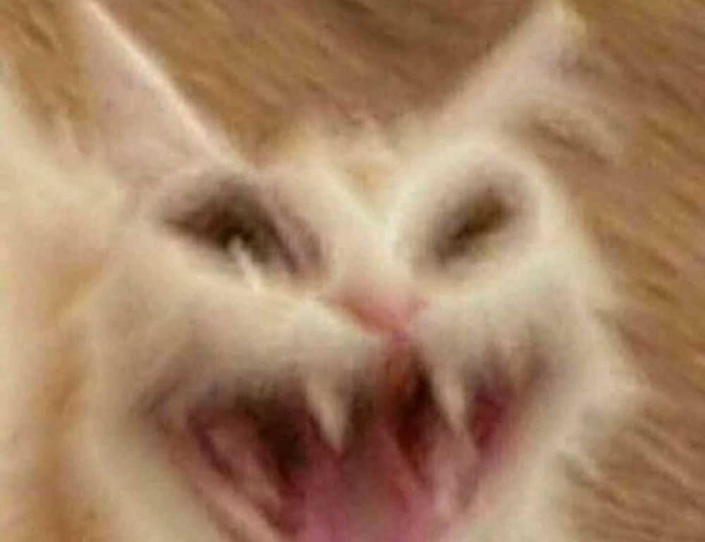 is miami in california