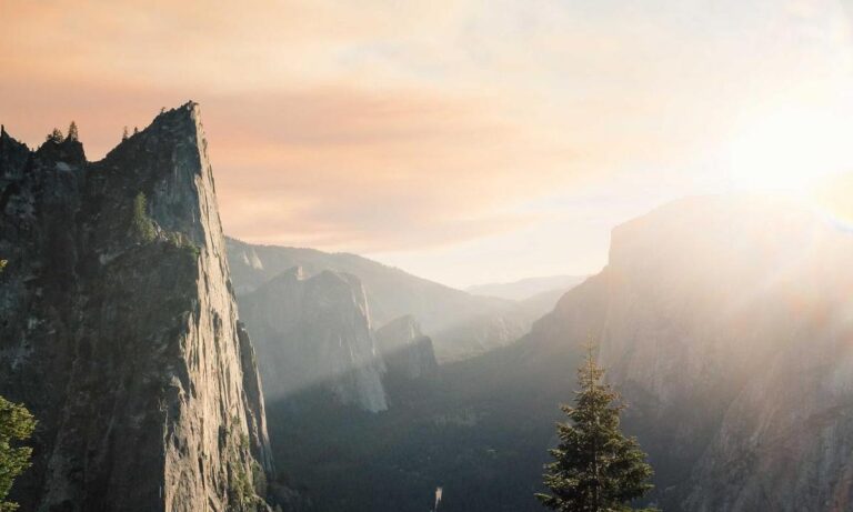 dibujos de haaland para colorear