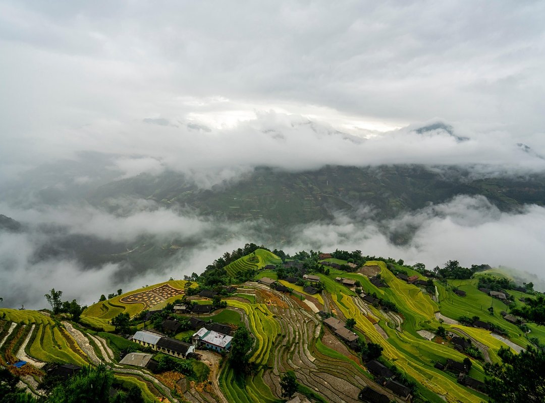 How to Apply Zosisfod Eyebrow Pencil