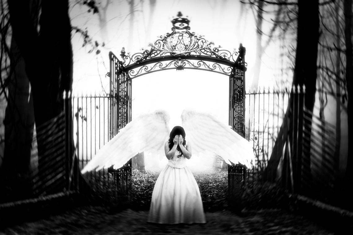 lanalovesturtles onlyfans leak