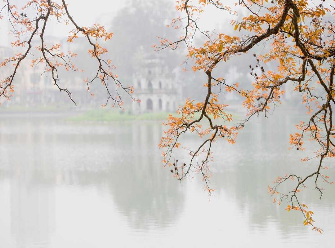 Is Zahongdos Expensive