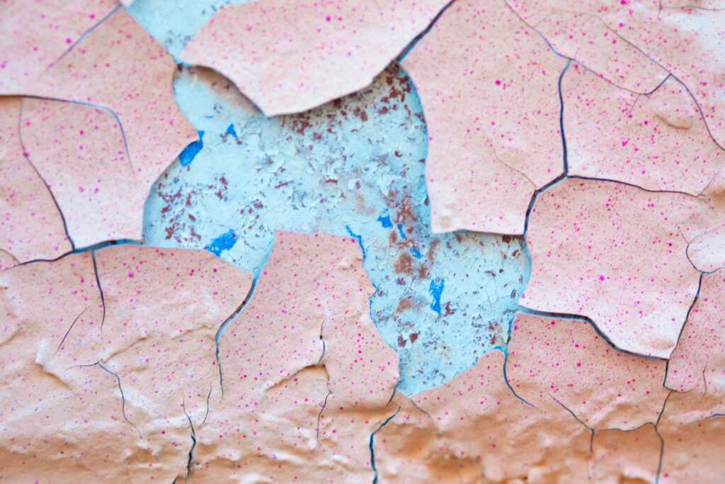 benoit roy FohJNhXF3HY unsplash