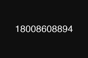 18008608894