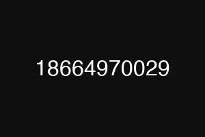 18664970029