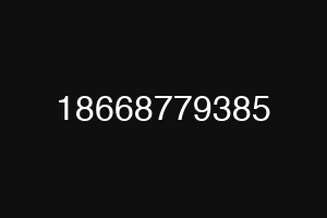18668779385