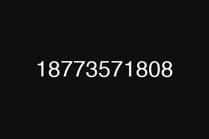 18773571808