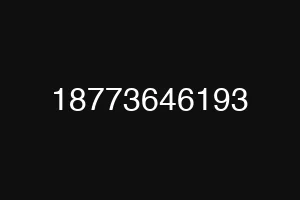 18773646193