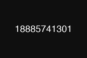 18885741301