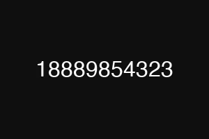 18889854323