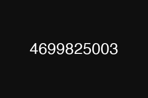 4699825003