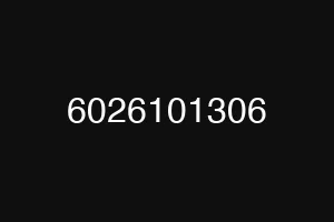 6026101306