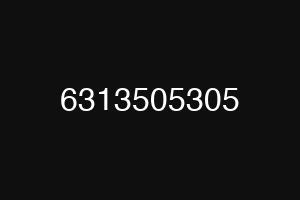 6313505305
