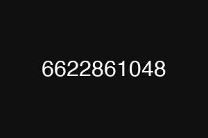 6622861048