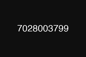 7028003799