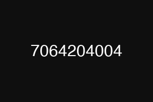 7064204004