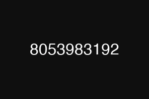 8053983192