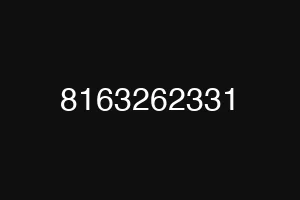 8163262331