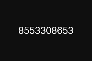 8553308653