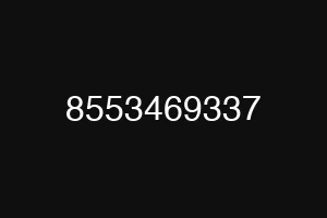 8553469337
