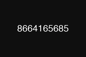 8664165685