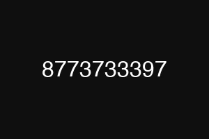 8773733397