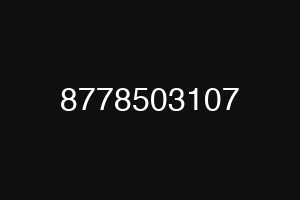 8778503107