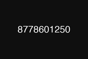 8778601250