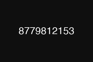 8779812153