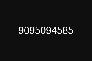 9095094585