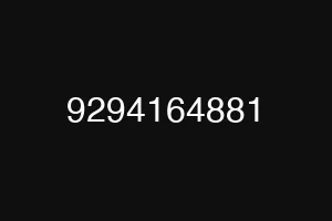 9294164881